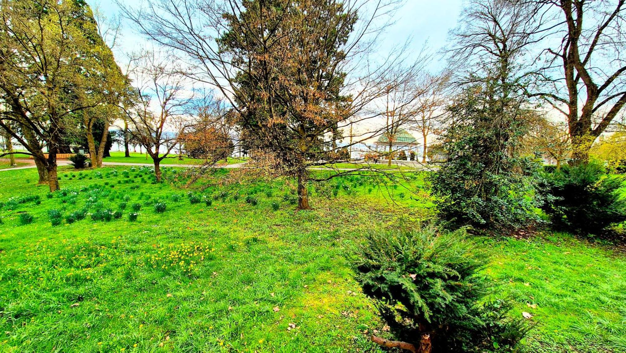 Bodensee City Apartment Friedrichshafen Casa Graf Exterior photo